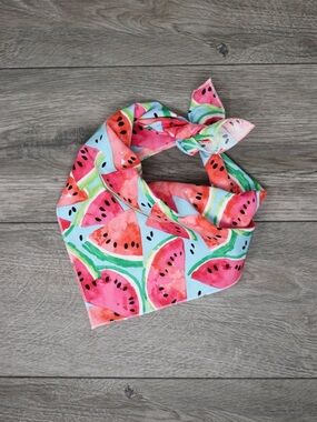 Watermelon Dog Bandana